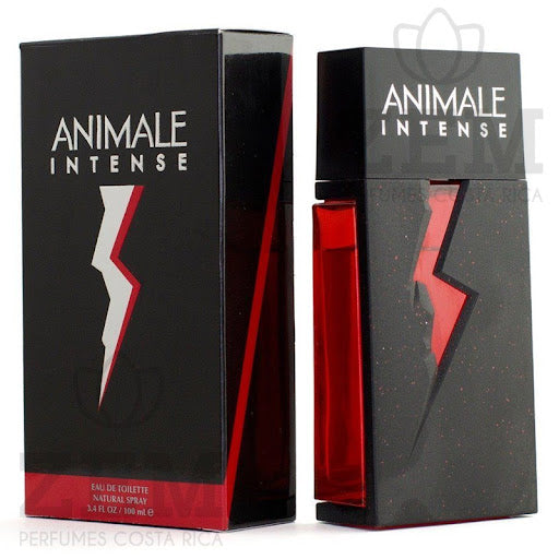 Animale Intense