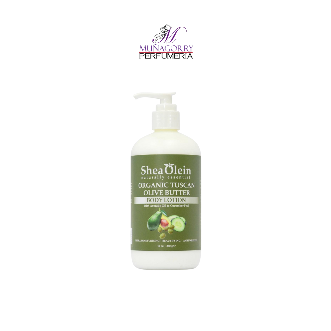 ORGANIC TUSCAN OLIVE BUTTER BODY LOTION | SHEA OLEIN | 12 OZ